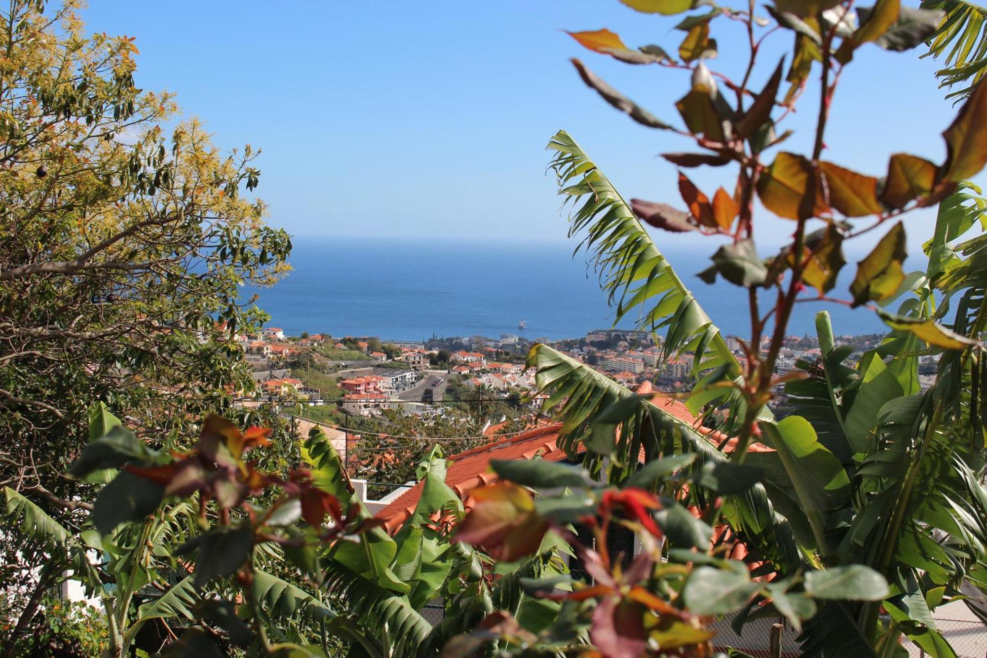 Alojamento Funchal - Silvestre House Ngoại thất bức ảnh